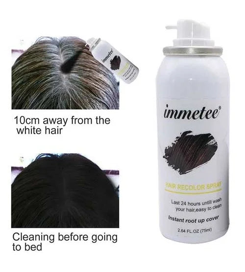 Immetee Hair Recolor Spray Instant Root Up Cover